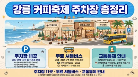 강릉 커피축제 주차장 2026 인포그래픽