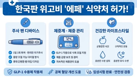 한국판 위고비 에페 식약처 허가 인포그래픽