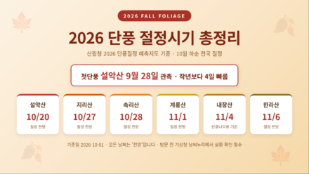2026년 단풍 절정시기 핵심 정보를 담은 인포그래픽
