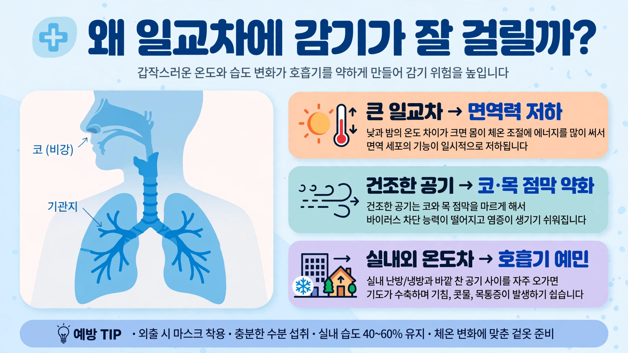 일교차에 감기가 잘 걸리는 원인 인포그래픽