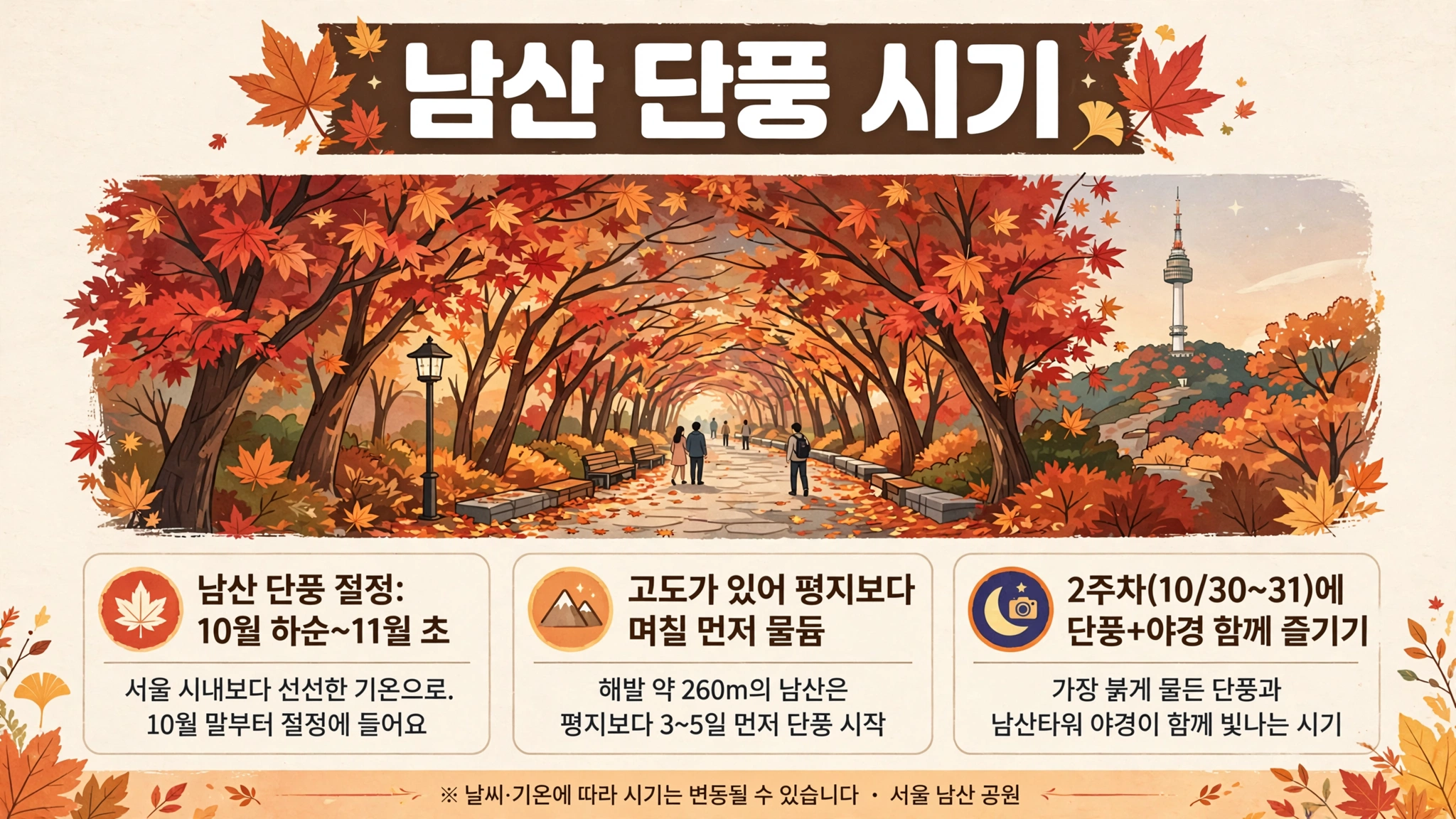 남산 단풍 시기 안내 인포그래픽